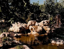 waterfall.jpg (23427 bytes)